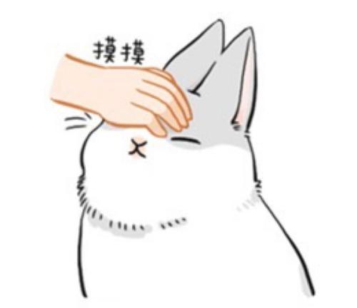 摸头安慰女生表情包,乖啦我的小仙女 摸头安慰女生表情包,乖啦我的小仙女第10张